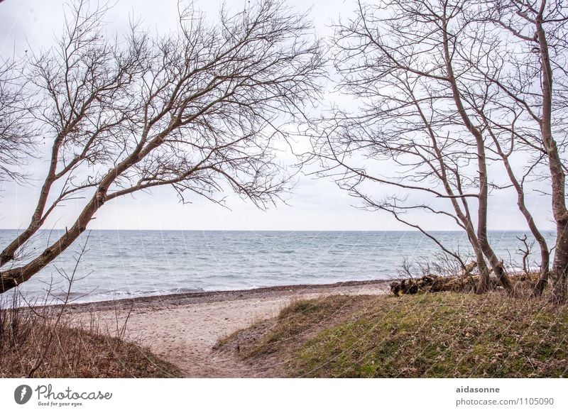 Baltic Sea near Warnemünde Nature Water Cloudless sky Beautiful weather Beach Contentment Attentive Calm Wanderlust Loneliness Mecklenburg-Western Pomerania