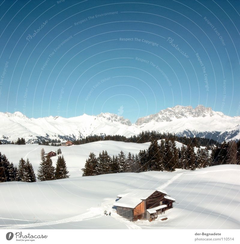 Mountain idyll II Winter February Cold Virgin snow Winter vacation Snow hiking Canton Graubünden Switzerland White Snowdrift Wooden hut Alpine hut Roof Brown