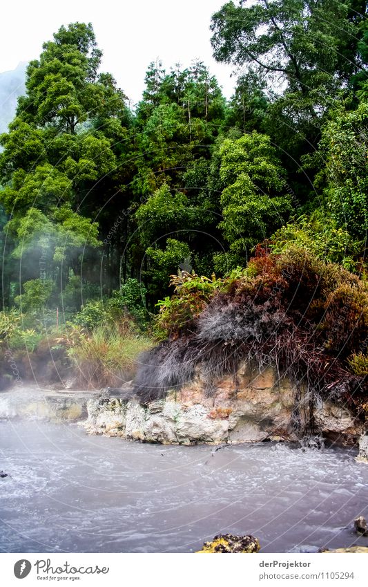 And here they're cooking food. Vacation & Travel Tourism Trip Safari Expedition Summer vacation Mountain Environment Nature Landscape Plant Animal Elements Tree