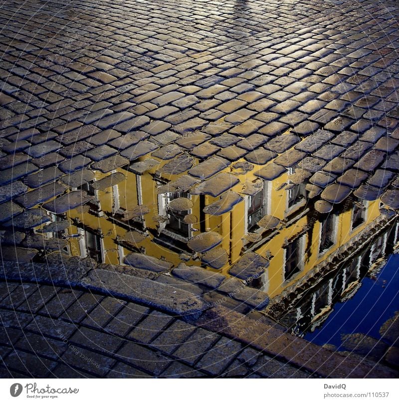 Reflection on the road Puddle House (Residential Structure) Facade Town house (City: Block of flats) Curbside Yellow Gray Riga Latvia Traffic infrastructure