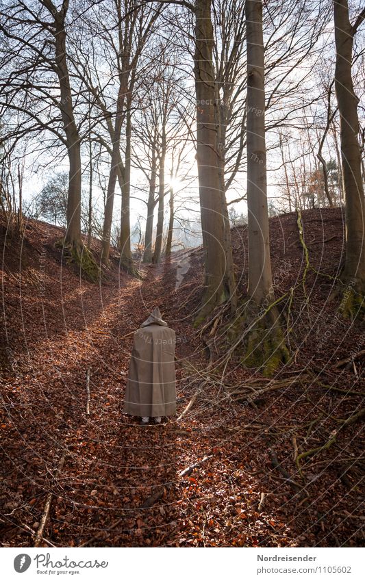 parting... Harmonious Human being 1 Nature Landscape Sun Spring Beautiful weather Tree Forest Lanes & trails Coat Walking Calm Modest Refrain Fatigue