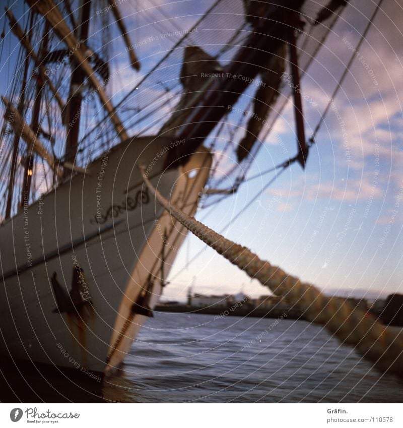 We drive around the Cape Horn Watercraft Rope Fastener Bollard Eyelet Lake Jetty Pontoon Arrival Splice Bow Anchor Tree Rigging Blur Shaky Harbour Lomography