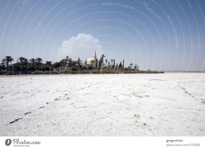 # 'chala sultan tekke' at the salt lake near larnaka # Mosque Salt Lake Cyprus Salt  lake Palm tree Clouds House of worship Stone Minerals Sky