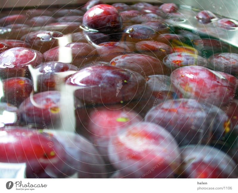 plum harvest Sink Plum