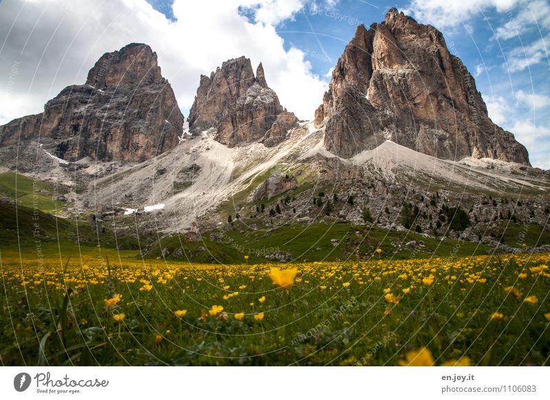 timeless beauty? Vacation & Travel Tourism Trip Adventure Summer Summer vacation Mountain Nature Landscape Plant Sky Clouds Sunlight Spring Grass Flower meadow