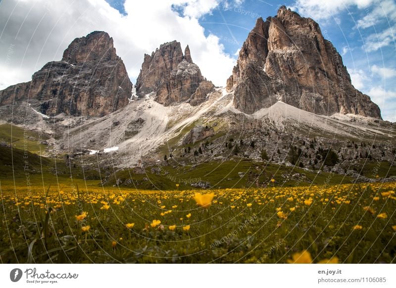 hiking time Vacation & Travel Tourism Trip Adventure Summer Summer vacation Mountain Nature Landscape Plant Sky Clouds Spring Beautiful weather Flower meadow