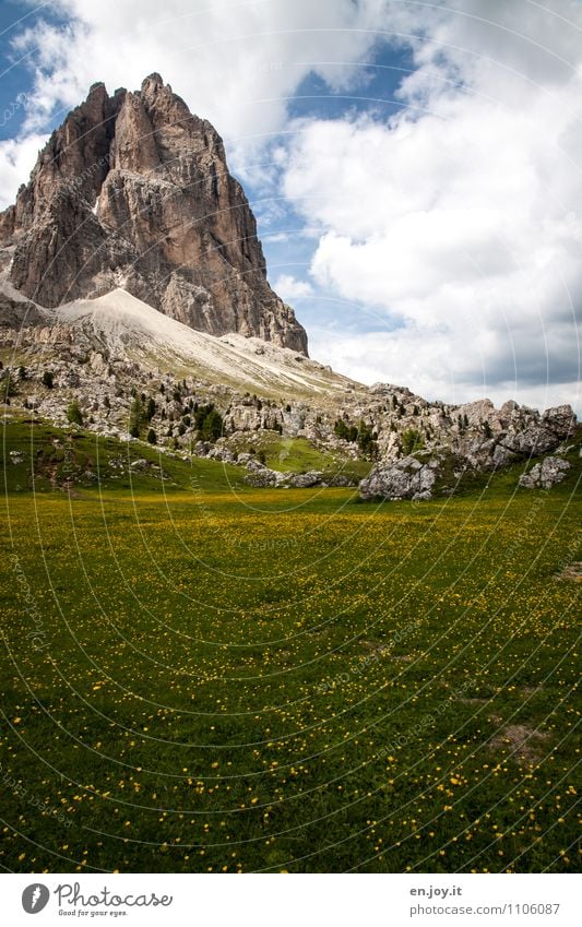 wild Vacation & Travel Tourism Trip Adventure Summer Summer vacation Mountain Nature Landscape Plant Sky Clouds Spring Beautiful weather Grass Flower meadow