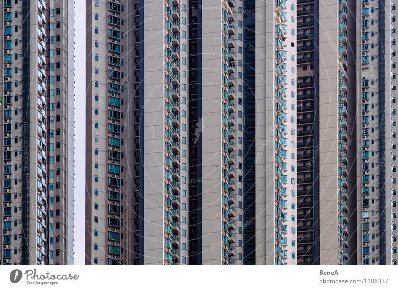 Hong Kong Walls Living or residing Flat (apartment) House (Residential Structure) Hongkong China Asia Town Capital city Downtown Skyline Overpopulated High-rise