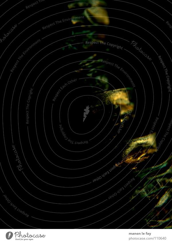 Guess what II Black Green Curved Spiral Light Blur Obscure Copper String Movement Crazy Reflection Gold