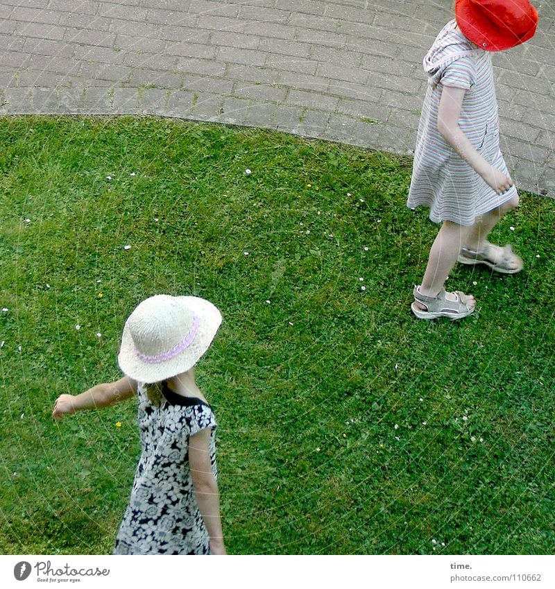 Bitch alert Colour photo Subdued colour Exterior shot Bird's-eye view Joy Life Playing Summer Child To talk Girl Friendship Meadow Traffic infrastructure Hat