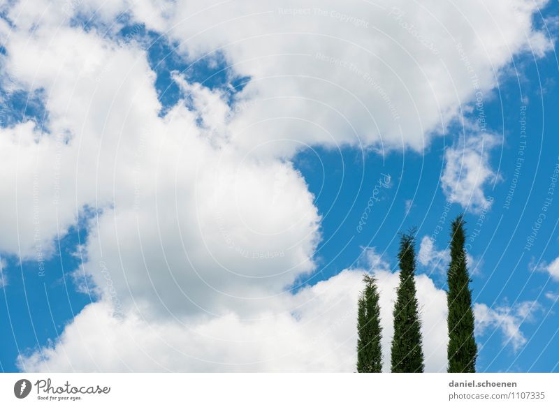 Tuscan sky Vacation & Travel Summer Summer vacation Sun Nature Air Sky Clouds Climate Beautiful weather Tree Bright Blue White Colour photo Deserted