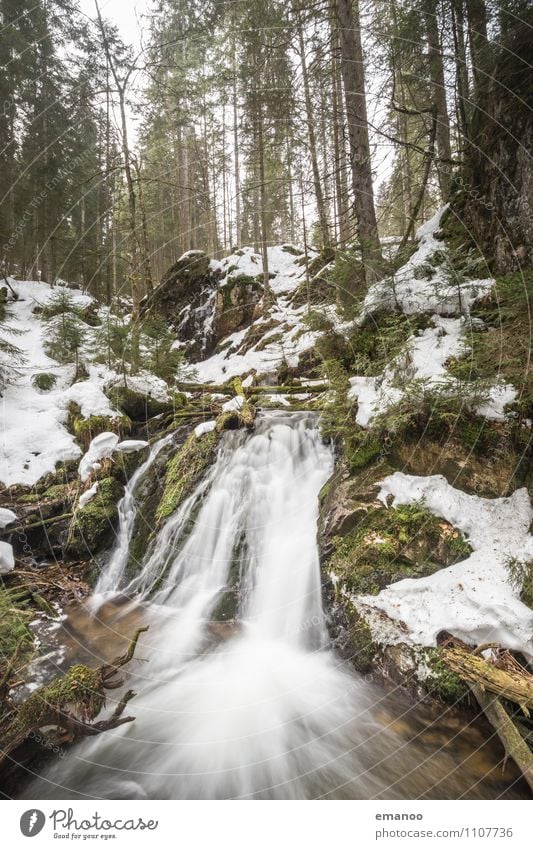 Black Forest photo Vacation & Travel Tourism Trip Winter Mountain Environment Nature Landscape Water Climate Weather Ice Frost Snow Plant Tree Moss