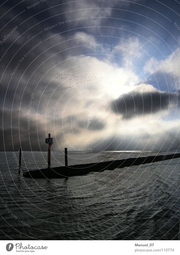 TIME OF TRAVEL Colour photo Exterior shot Deserted Copy Space bottom Morning Light Reflection Sunlight Sunbeam Wide angle Vacation & Travel Ocean Waves Lamp