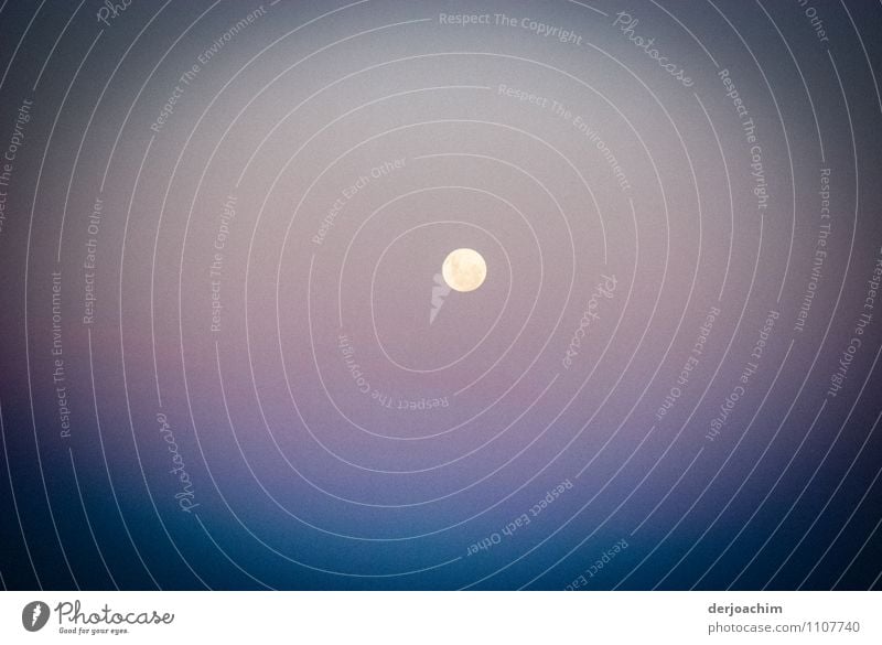 Evening mood. Moonrise in the Outback.Northern Territory. Australia Joy Relaxation Leisure and hobbies Photography Trip Nature Sun Sunrise Sunset Summer