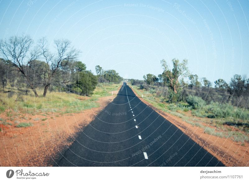 A straight tarred road in the outback, 39 degrees, with bushes and trees to the left and right. Northern Territory. Australia to the west Joy Relaxation Trip