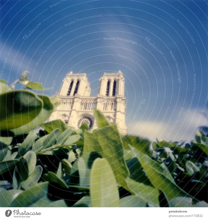 Hole patternParis02 Notre Dame Gothic period Clouds Green House of worship hole pattern hole camera Cathedral Ile de la Cité Sky Architecture