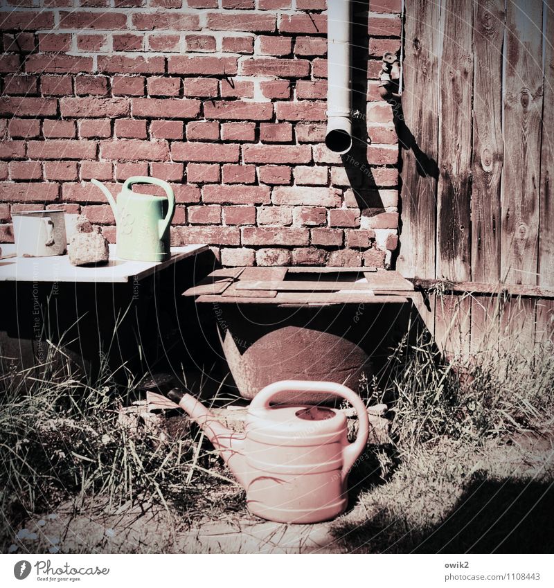 Waiting for water Grass Garden Watering can Eaves Drainpipe Brick wall Wooden gate Simple Retro Calm Idyll Flashy Sepia colour Warmth Rain gutter Drought Dry