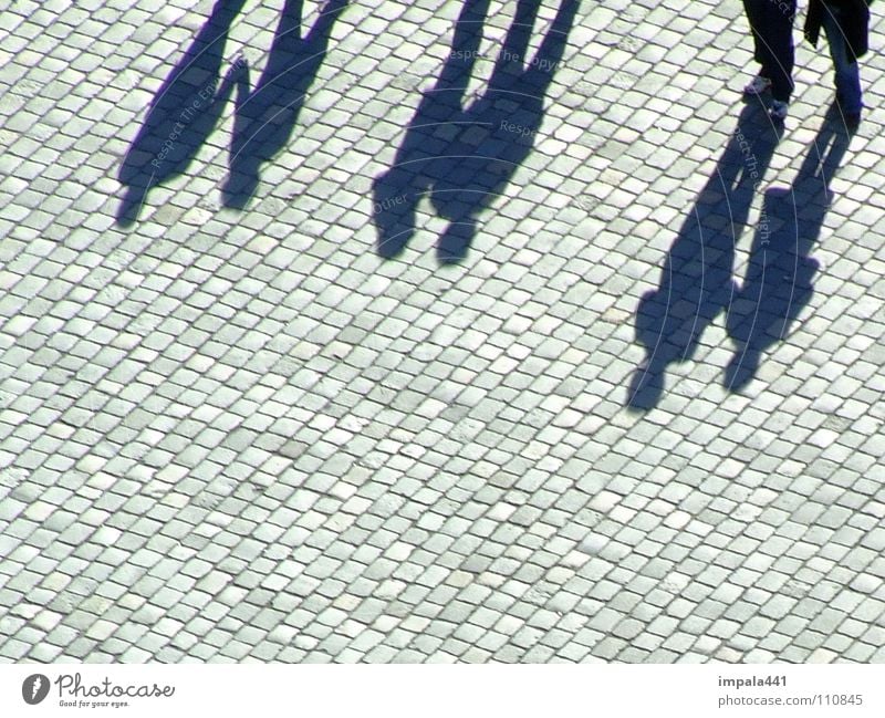 shadowy existence III Pedestrian Black Sidewalk Cobblestones To go for a walk Going Places Pedestrian precinct Dresden House of worship Communicate Group Shadow