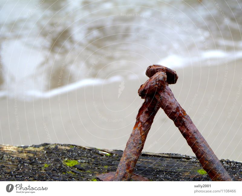 needy to lean on... Coast Beach Ocean Nail Wood Metal Old Touch Stand Trashy Senior citizen Relationship Apocalyptic sentiment Teamwork Transience 2 Rust