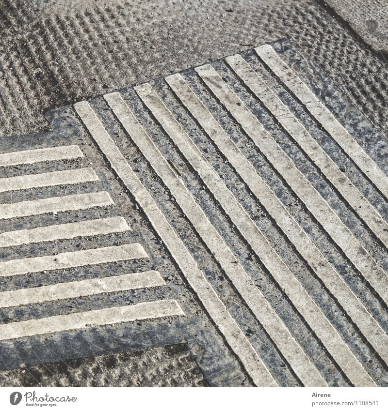 street lines Street Concrete Sign Line Stripe Polka dot Sharp-edged Gray Town Parallel Motionless Demanding Colour photo Subdued colour Exterior shot