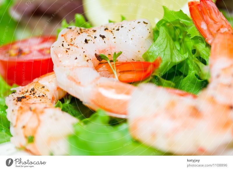 prawns Shrimps Seafood gambas Coral shrimp Shrimps salad Shell-bearing mollusk Lettuce Salad Side dish Dish Restaurant Healthy Healthy Eating Fish Conserve