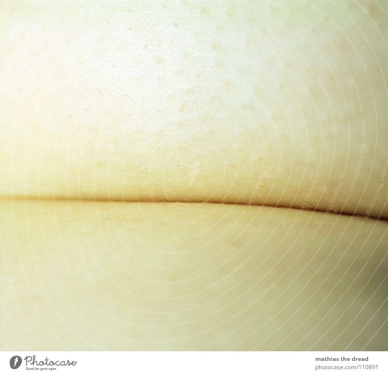 pleat Line Dark Black Bacon Pore Wrinkles Skin Human being human skin Old Fat