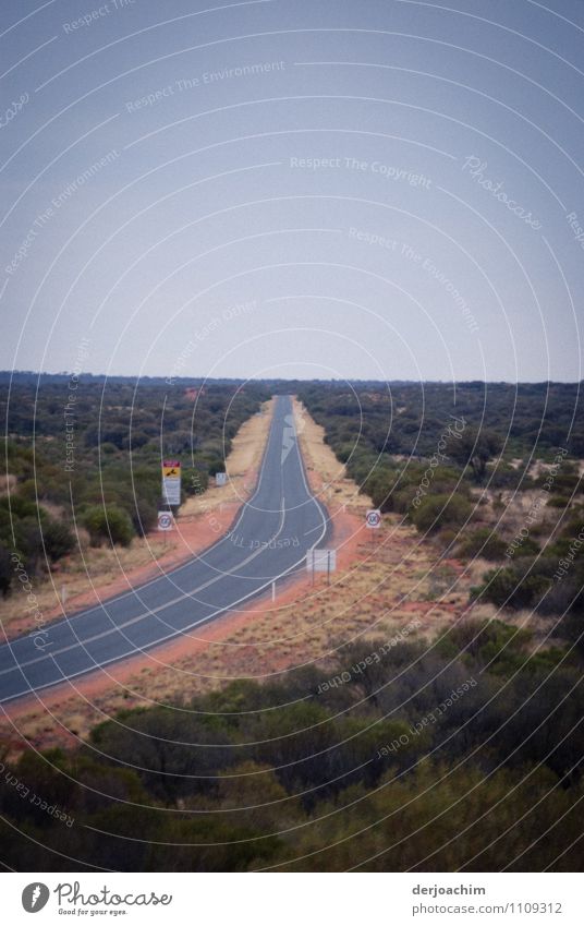 After the bend, straight ahead...road in the Outback Northern Territory. Australia which runs endlessly straight. Joy Calm Trip Street Landscape Cloudless sky