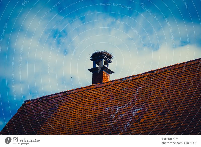 " Still free" is the stork's nest on a house with a high chimney. The roof is with red tiles. A blue sky stands over everything. Design Calm Trip