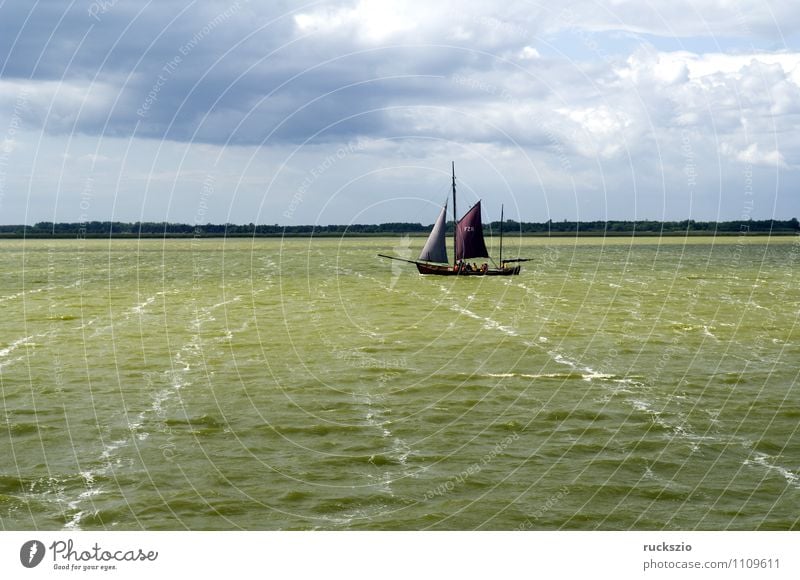 Zeesboat, Saaler Bodden, Landscape Beach Ocean Waves Water Sky Coast Baltic Sea Lake Sailboat Sailing ship Watercraft Swimming & Bathing Sports