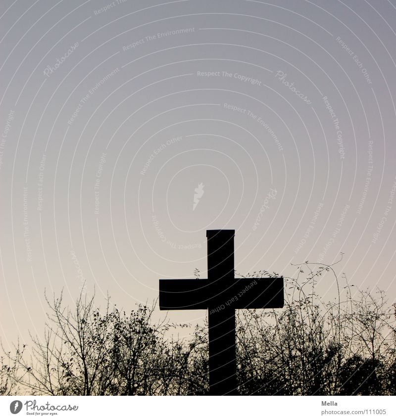 cross Branchage Bushes Religion and faith Belief Silhouette Foreground Black Pastel tone Hold Find Search Think Looking away To break (something) Lose Grief