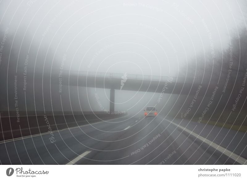 Motorway in the fog Trip Autumn Bad weather Fog Rain Transport Means of transport Traffic infrastructure Logistics Road traffic Motoring Street Highway Vehicle