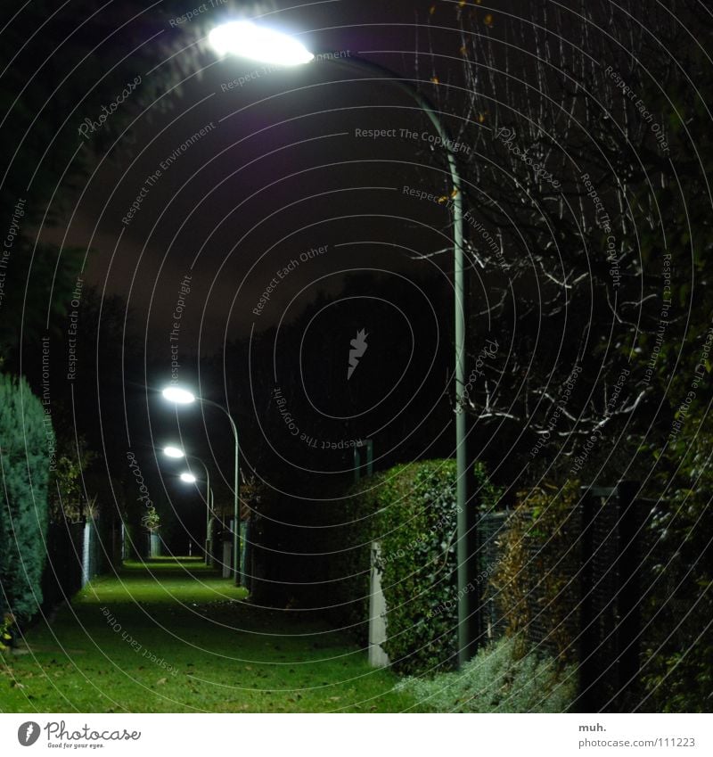 gangway Green Lantern Grass Fence Dark Night Hedge Square Fear Panic Long exposure Autumn