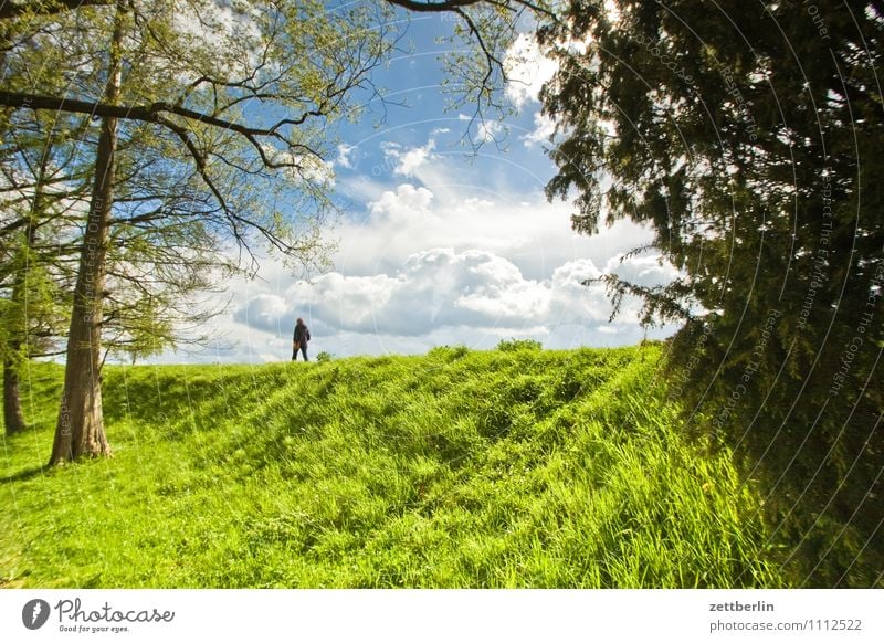 stroll Trip Spring Park Saxony-Anhalt Tourism Beautiful weather Wörlitz Dam Dike Hiking To go for a walk Promenade Grass Lawn Meadow Human being Individual