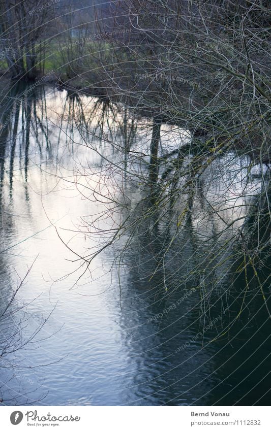 The Elzbach Environment Nature Water Plant Tree Brook Bright Blue Sky blue Clouds Orange Waves Mirror image Branch Calm Peaceful Idyll Rural Flow Movement Time