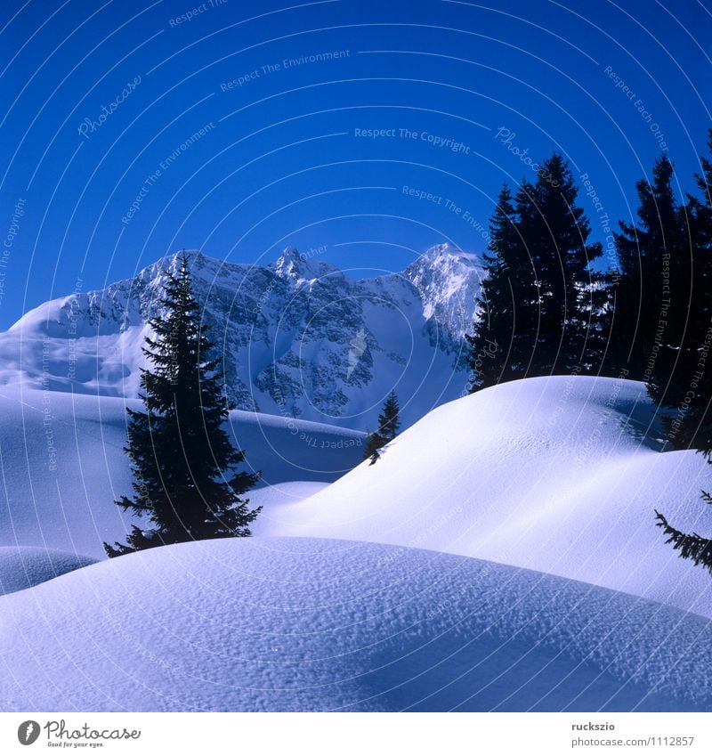 Winter landscape; Warth, Arlberg Snow Mountain Nature Landscape Tree Forest Alps Peak Cold Mount Arlberg Arlberg region Ice Impression Cold winter landscape