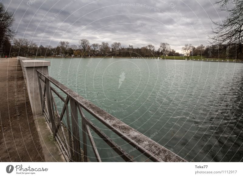 Aachen Pond Winter Environment Nature Landscape Plant Lakeside Adventure Esthetic Contentment Cologne Subdued colour Exterior shot Deserted Day Light Shadow