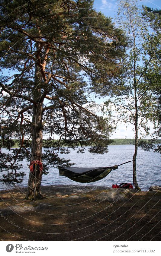 right in the middle Nature Landscape Earth Water Sky Summer Beautiful weather Tree Rock Lake Hammock tree tent Sleep Contentment Serene Patient Calm Fastening