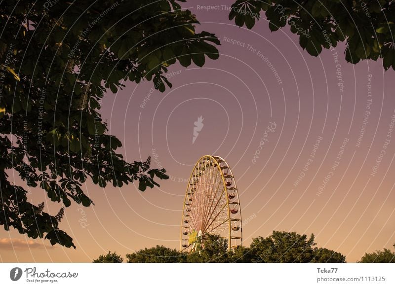 Ferris wheel summer 1 Vacation & Travel Summer Summer vacation Sun Entertainment Fairs & Carnivals Shows Park Yellow Emotions Moody Colour photo Exterior shot