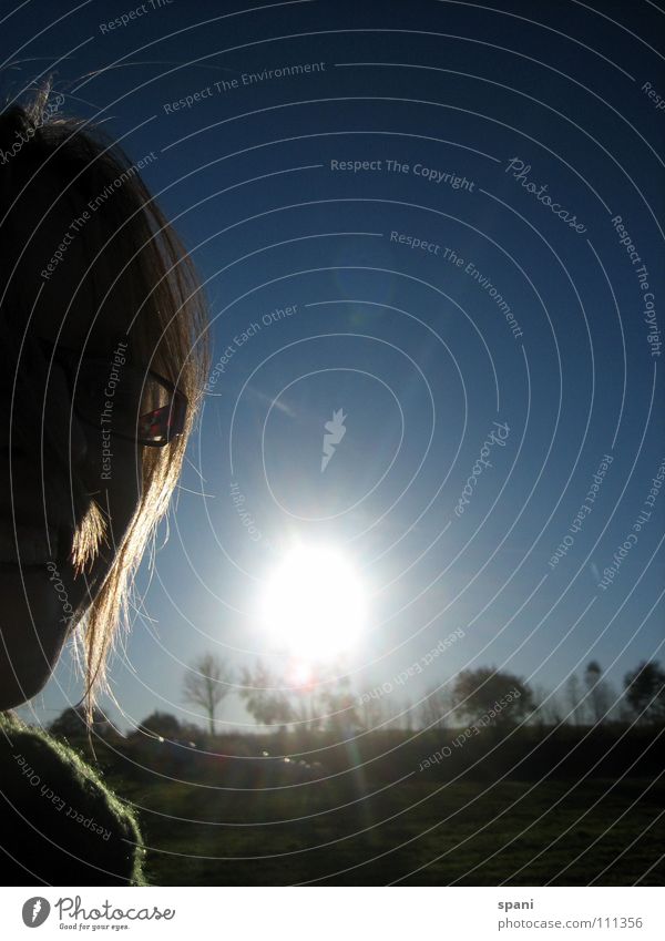 autumn sun Back-light Woman Tree Horizon Silhouette Sunset Blue sky Hair and hairstyles Face Shadow bright light