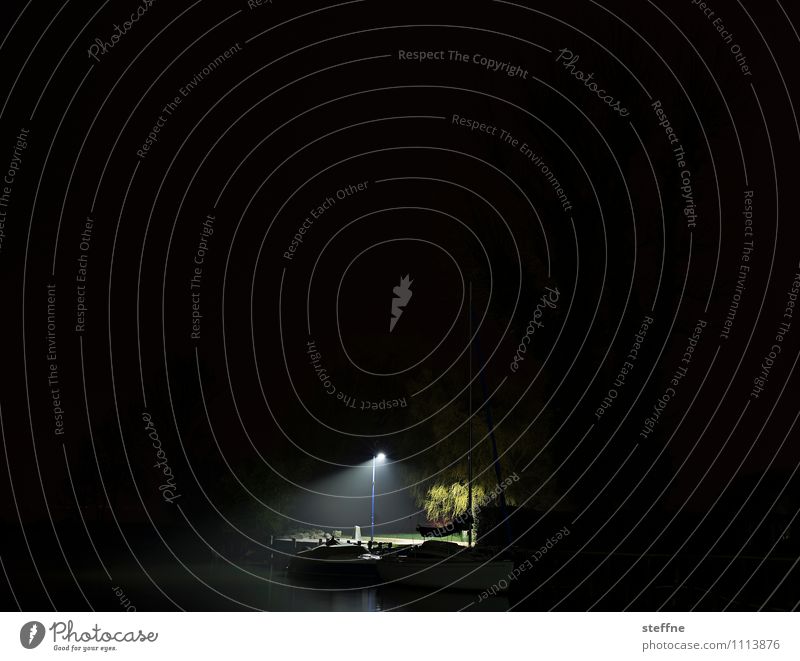 spotlight Winter Bad weather Storm Wind Gale Fog Tree River bank Boating trip Sport boats Fear Night Dark Point of light Flare Lantern Deserted Copy Space left