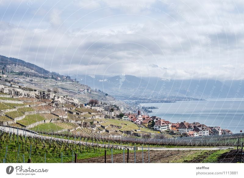 Chexbres Landscape Clouds Mountain Lakeside chexbres Lausanne Switzerland Village Tourism Wine growing Vineyard Lake Geneva Lac Lemon Alps Colour photo