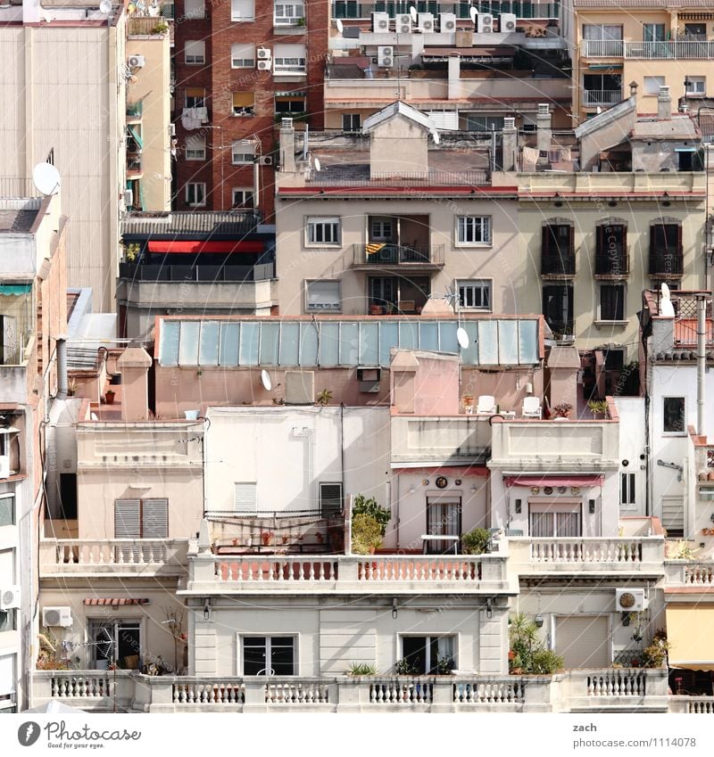 100 lives City trip Pot plant Barcelona Spain Town Downtown Old town Overpopulated Deserted House (Residential Structure) Building Architecture Wall (barrier)