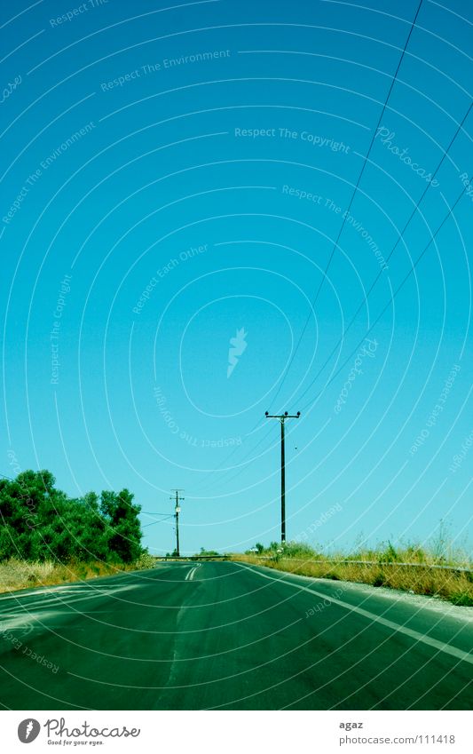 street Tree Driving To enjoy Electricity Horizon Green Yellow Physics Wind Traffic infrastructure summer blue Sky Warmth