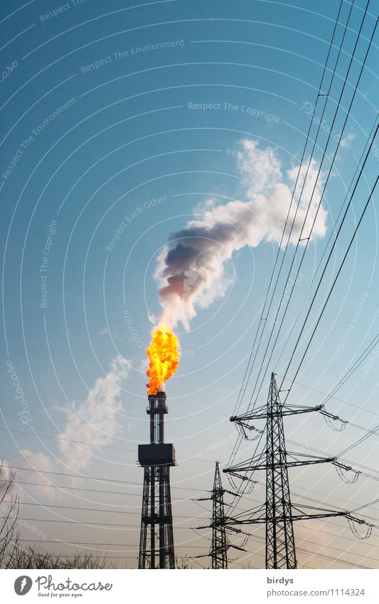 Incident the first Industry Fire Cloudless sky Beautiful weather Industrial plant Tower Chimney Smoke Authentic Threat Gigantic Hot Tall Fear of the future