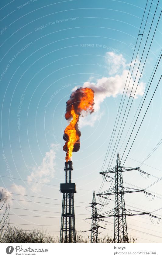 Incident in the chemical plant Industry Fire Cloudless sky Beautiful weather Industrial plant Tower Chimney Smoke co2 Authentic Gigantic Hot Tall