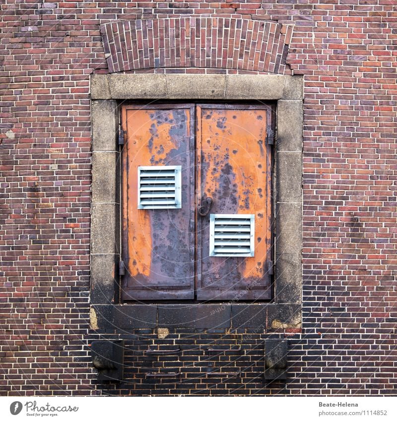 A look into the Speicherstadt Trip Adventure Educational trip Hamburg Industrial plant Manmade structures Building Architecture Wall (barrier) Wall (building)