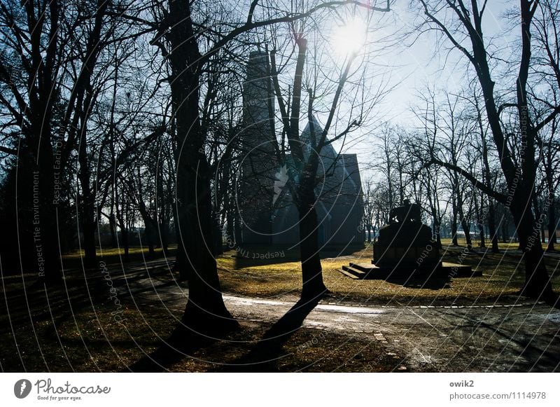 church square Environment Nature Cloudless sky Sun Tree Grass Park Falkenberg Brandenburg Germany Church Manmade structures Building Church yard Lanes & trails