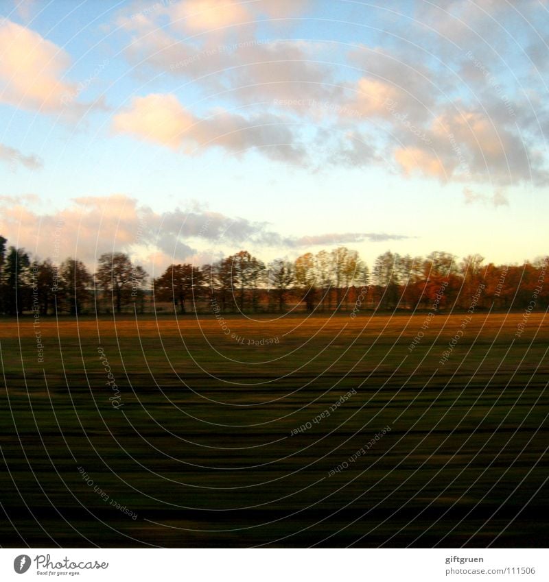 autumn landscape I Autumn Autumnal landscape Leaf Multicoloured Seasons Field Tree Clouds Transience October November Green Meadow Grass Bad weather Landscape