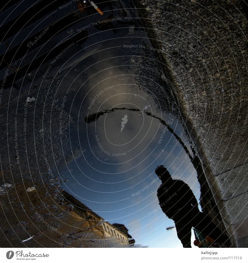 creatures season Water reflection Water puddle Puddle Man Street lamp Curbstone Town Surface of water Gully Silhouette