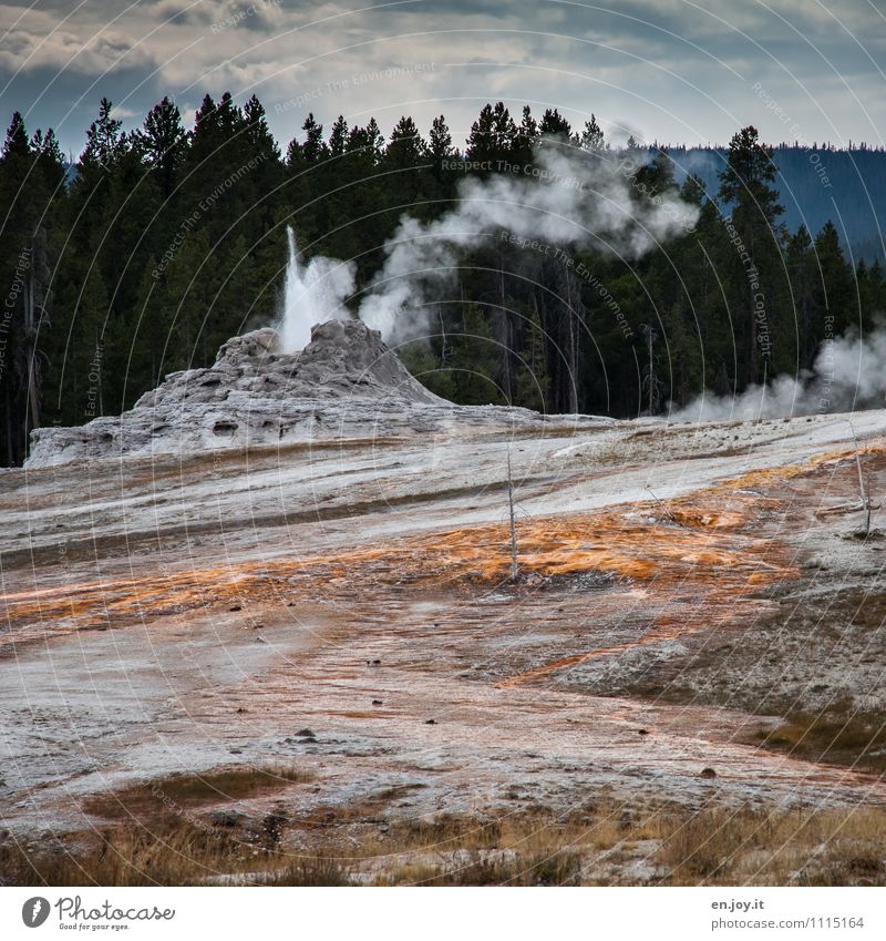 release pressure Vacation & Travel Tourism Adventure Environment Nature Landscape Elements Clouds Climate Climate change Forest Volcano Hot springs Geyser